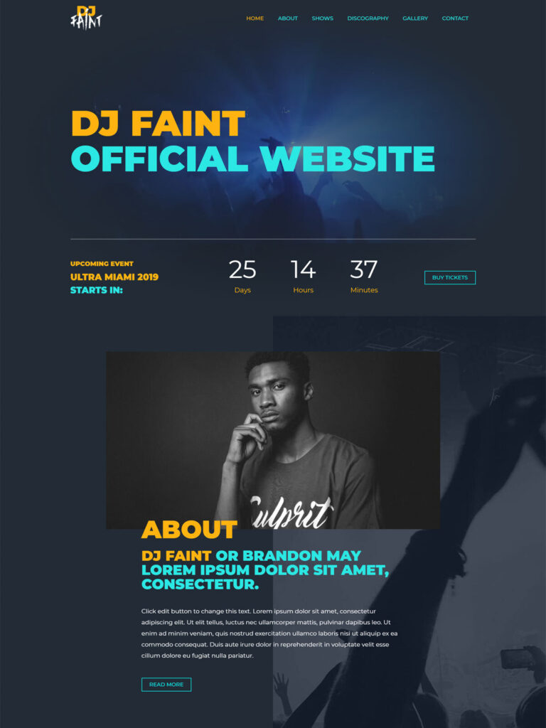 Disc jockey website demo with responsive web design, SEO optimization, DJ services, live performances, event entertainment, music mixing, and professional DJ presentation