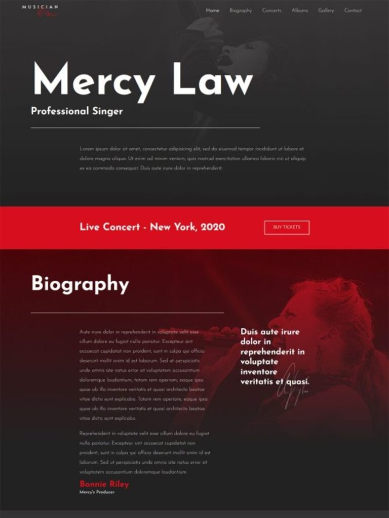 Musician website demo with responsive web design, SEO optimization, music portfolio, live performances, song releases, and professional artist presentation